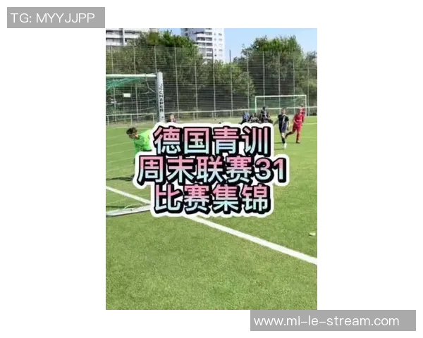 足球场音效的魅力探秘如何提升观赛体验与氛围营造